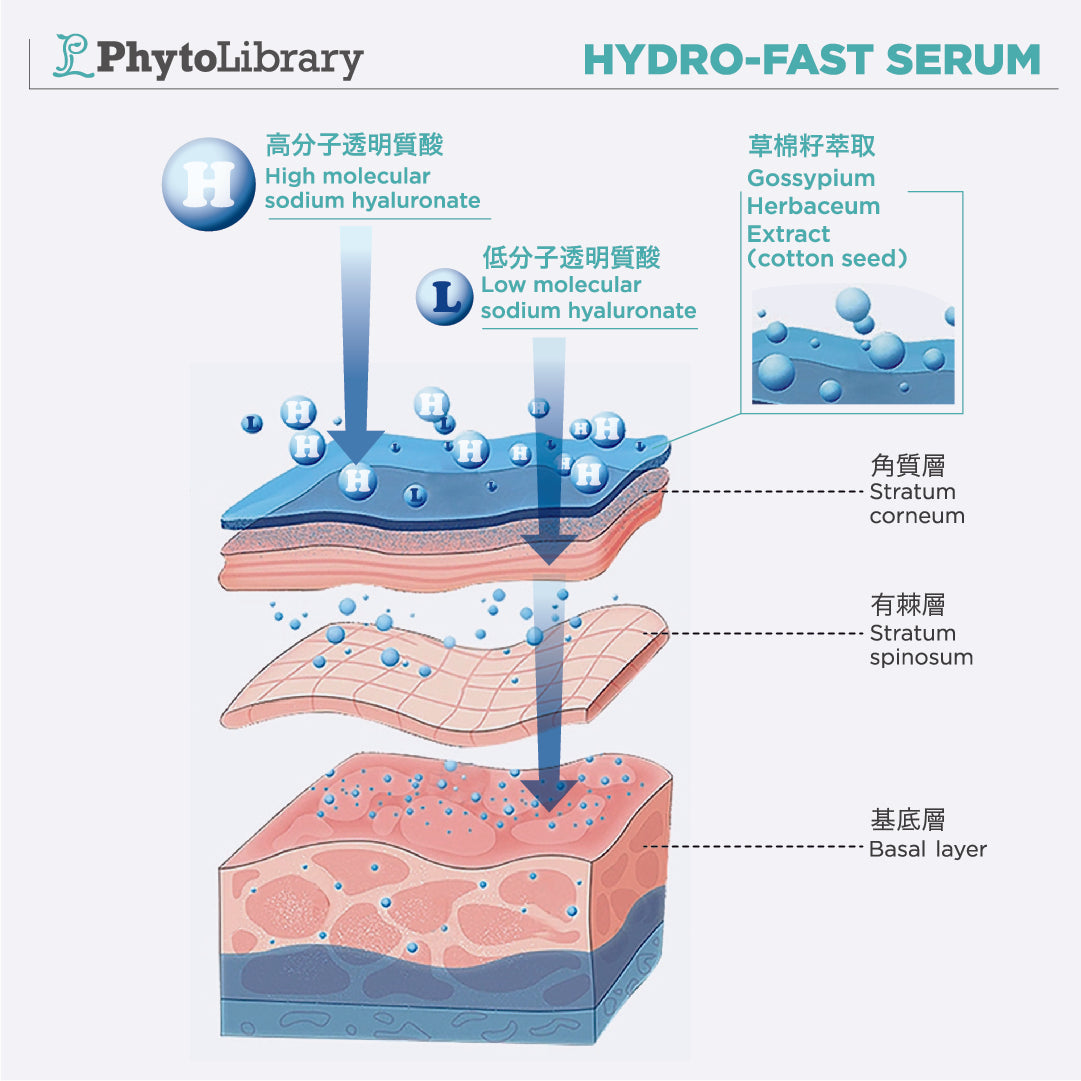 PhytoLibrary 透明質酸四重秒速保濕精華 Hydro-fast Serum (3支)